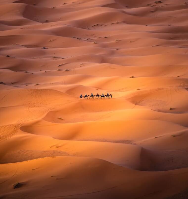 10. A Huge Desert and Tiny Humans