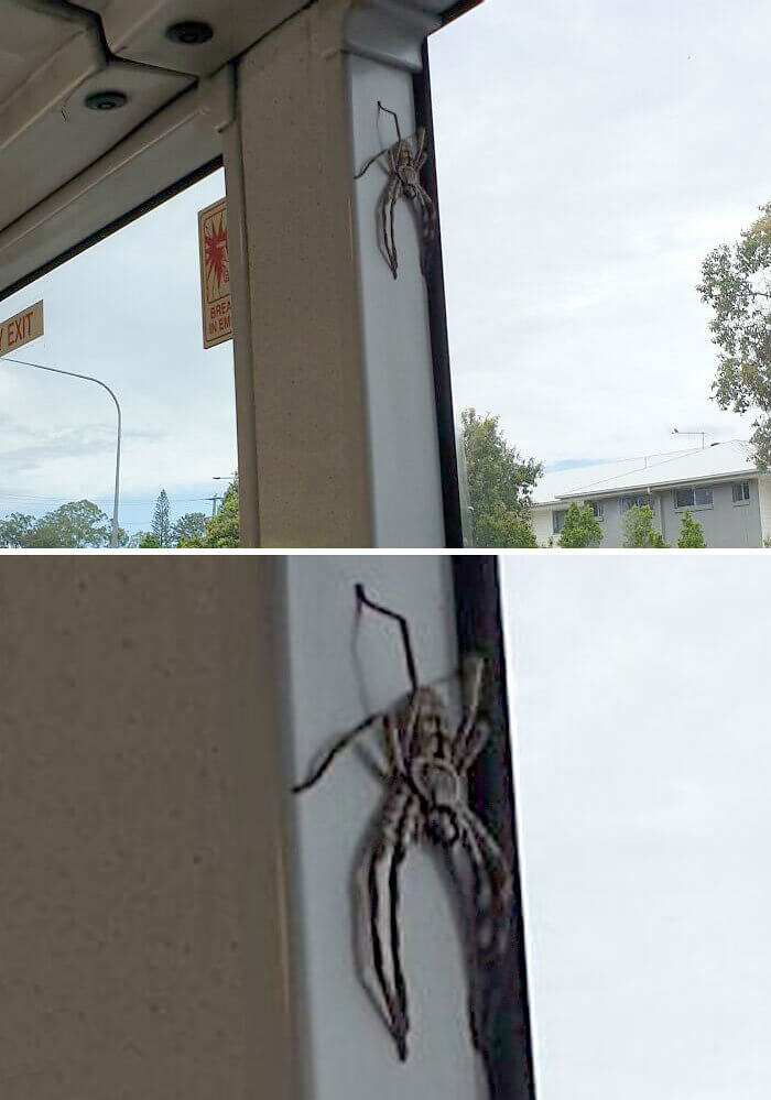 This Bus Driver Had a Secret Passenger