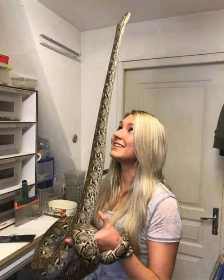 Who's Taller, The Snake Or The Woman Holding The Snake?