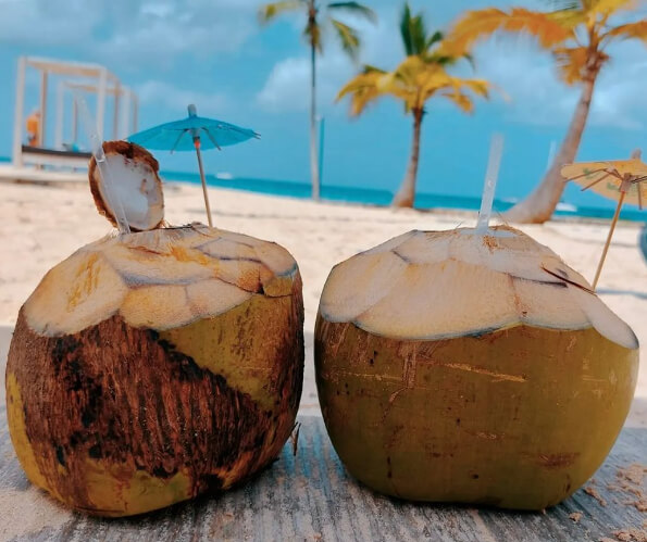 Coconut Water Can Be Used in IV Fluids