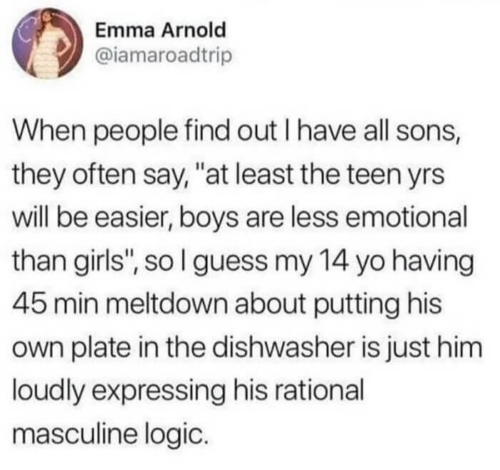 That Rational Masculine Logic